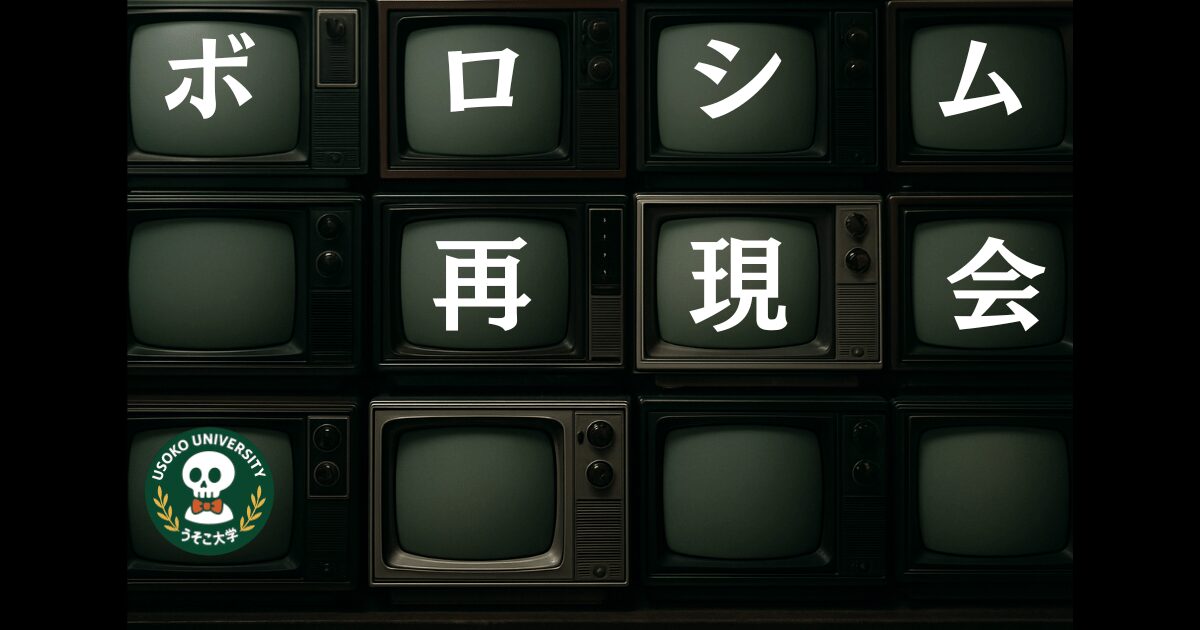 ボロシム再現会